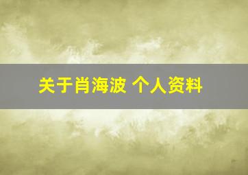 关于肖海波 个人资料